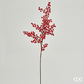 Ветвь с ягодами